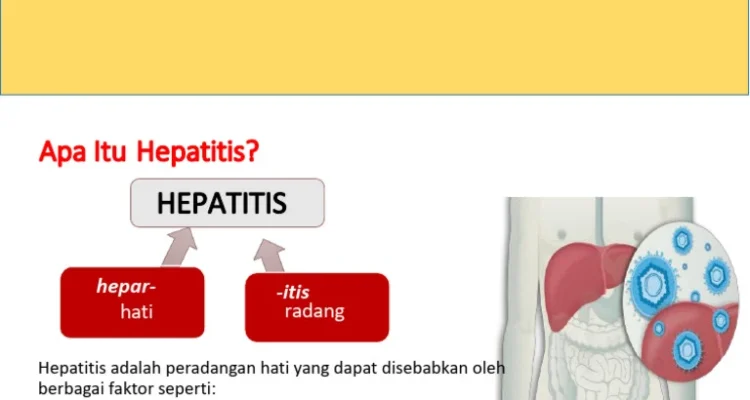 WHO Ungkap Penurunan hepatitis global, Namun Akses Pengobatan Masih Jadi Tantangan Besar
