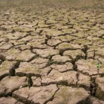 Badan Meteorologi, Klimatologi, dan Geofisika: Menghadapi Puncak Musim Kemarau 2026 dan Fenomena El Nino
