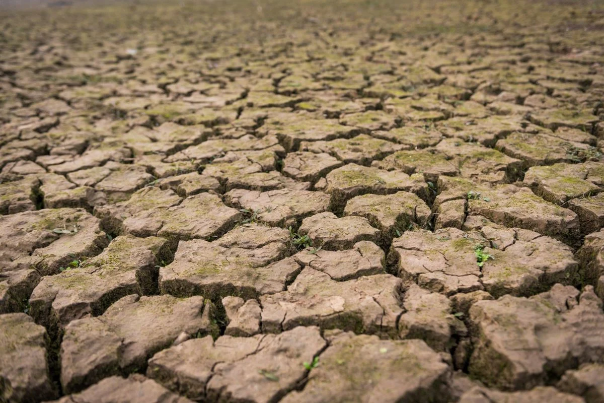 Badan Meteorologi, Klimatologi, dan Geofisika: Menghadapi Puncak Musim Kemarau 2026 dan Fenomena El Nino