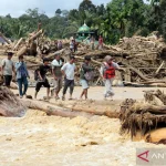 Blackout di Sumatera: Antara Hoaks dan Kondisi Riil