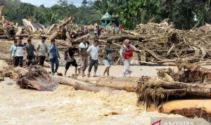 Blackout di Sumatera: Antara Hoaks dan Kondisi Riil