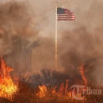 Gelombang Panas Melanda Amerika Serikat, Lebih dari 162 Juta Orang Terkena Imbas