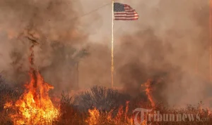 Gelombang Panas Melanda Amerika Serikat, Lebih dari 162 Juta Orang Terkena Imbas