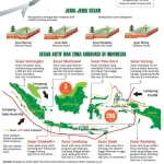 Gempa Jawa: Mengenal Sesar Aktif yang Mengancam