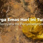 Harga Emas Hari Ini Turun, Ini Penyebabnya