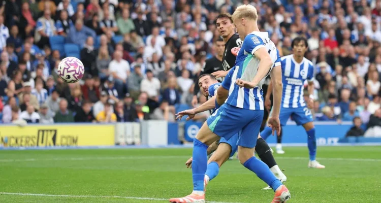 Jan Paul van Hecke: Pemain Baru Tottenham Hotspur yang Siap Menghadapi Tantangan Baru