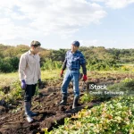 Jepang: Dari Misi Bantu Petani Hingga Kasus Kartel Es Krim