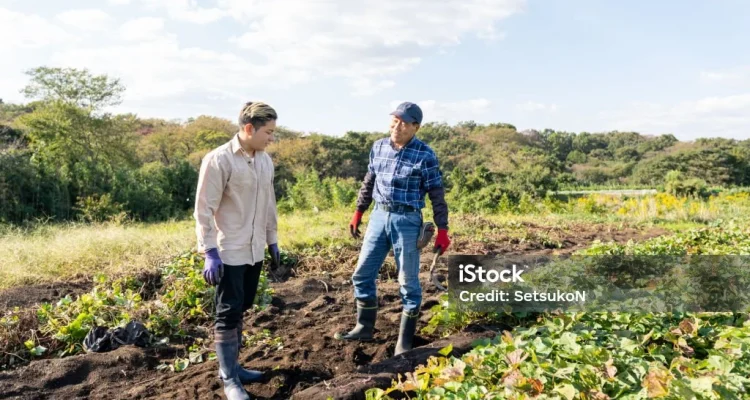 Jepang: Dari Misi Bantu Petani Hingga Kasus Kartel Es Krim
