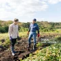 Jepang: Dari Misi Bantu Petani Hingga Kasus Kartel Es Krim