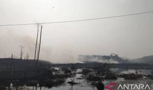 Kebakaran TPA Jatiwaringin Tangerang: Api Meluas dan Mengancam Warga Sekitar