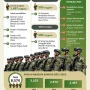 Komponen Cadangan TNI Diterjunkan Amankan Demo Mahasiswa, Apa yang Terjadi?
