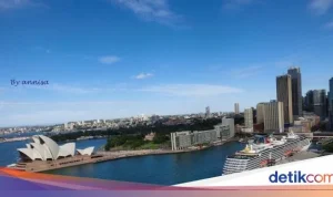 Live Sydney: Berita Terkini dari Kota Sydney