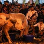 Malam 1 Suro 2026: Refleksi Kehidupan dan Tradisi yang Tak Lekang oleh Waktu