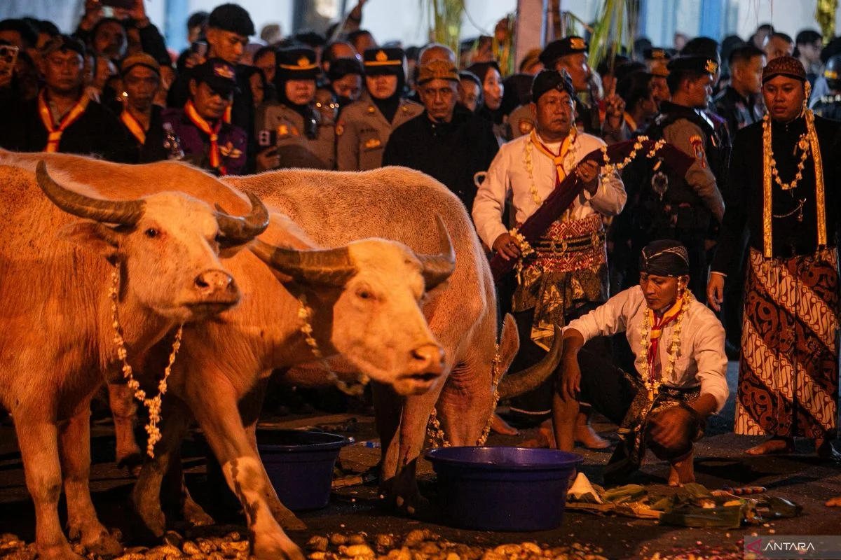 Malam 1 Suro 2026: Refleksi Kehidupan dan Tradisi yang Tak Lekang oleh Waktu
