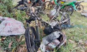 Maling Motor di Lampung Tewas Diamuk Massa