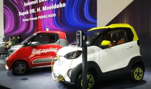 Moeldoko Dukung Subsidi Mobil Listrik untuk Meningkatkan Penggunaan Energi Terbarukan