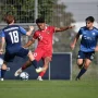 Paderborn Jadi Sorotan di Bundesliga Jerman