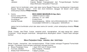 Pegawai Pemerintah dengan Perjanjian Kerja: Antara Lowongan Kerja dan Kasus Pelecehan