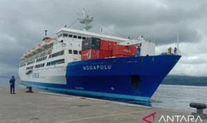 PELNI Siapkan Tiga Kapal Baru untuk Meningkatkan Layanan Transportasi Laut Nasional