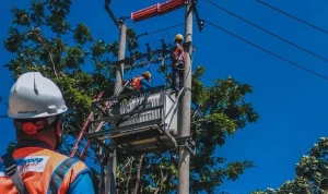 Pemadaman Listrik PLN Hari Ini: Berikut Jadwal dan Wilayah Terdampak