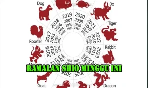 Ramalan Shio Minggu Ini: Apa yang Menanti Anda?