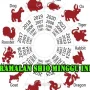 Ramalan Shio Minggu Ini: Apa yang Menanti Anda?