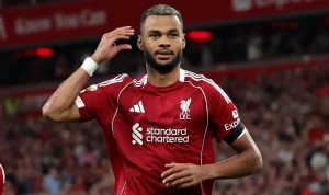 RB Leipzig Tidak Terkait, Newcastle United Incar Cody Gakpo Setelah Kehilangan Victor Munoz