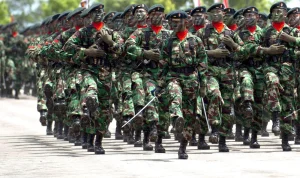 Tentara Nasional Indonesia (TNI) Menghadapi Tantangan Baru