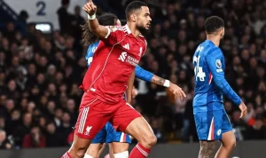 Tragedi Menimpa Pemain Liverpool, Cody Gakpo Mengalami Kehilangan
