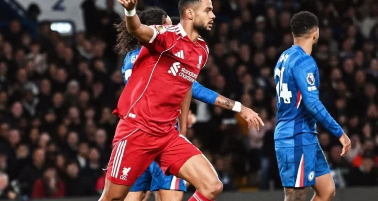Tragedi Menimpa Pemain Liverpool, Cody Gakpo Mengalami Kehilangan