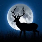 Buck Moon: Fenomena Bulan Purnama yang Membawa Keberuntungan dan Perubahan