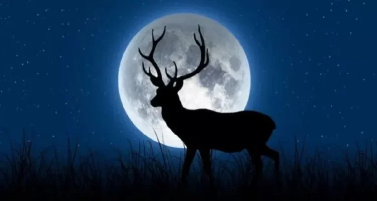 Buck Moon: Fenomena Bulan Purnama yang Membawa Keberuntungan dan Perubahan