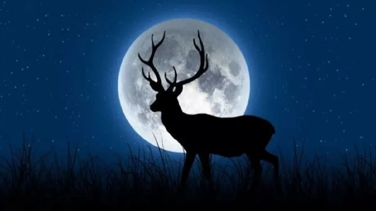 Buck Moon: Fenomena Bulan Purnama yang Membawa Keberuntungan dan Perubahan