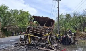 Bus: Antara Kejadian Tak Terduga dan Kenaikan Tarif