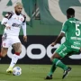 Chapecoense vs Flamengo: Persaingan Sengit di Liga Brasileirão
