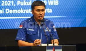 Herzaky Mahendra Putra: PDI-P Harus Jelas Dalam Posisi Politiknya
