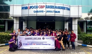 Indofood CBP Sukses Makmur Tbk (ICBP) Cairkan Dividen Rp 265 Per Saham, Saham di Zona Hijau
