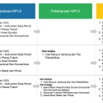 Karakter Data Kemendikdasmen: Panduan Lengkap untuk MPLS Ramah 2026
