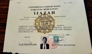 Kasus Ijazah Jokowi: Dian Sandi Utama Menjadi Sorotan, Apa yang Sebenarnya Terjadi?