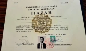 Kasus Ijazah Palsu Jokowi: Dian Sandi Ungkap Alasan Kubu Roy Suryo-Tifa Bidik Dirinya