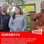 Kasus Korupsi di Kebun Binatang Surabaya: Penyidikan Berlanjut dan Pencarian Direktur Utama Baru