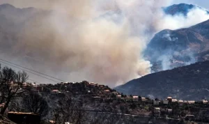 Kebakaran Hutan di Annaba, Algeria: 100 Orang Dirawat dan 150 Rumah Rusak