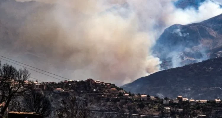 Kebakaran Hutan di Annaba, Algeria: 100 Orang Dirawat dan 150 Rumah Rusak