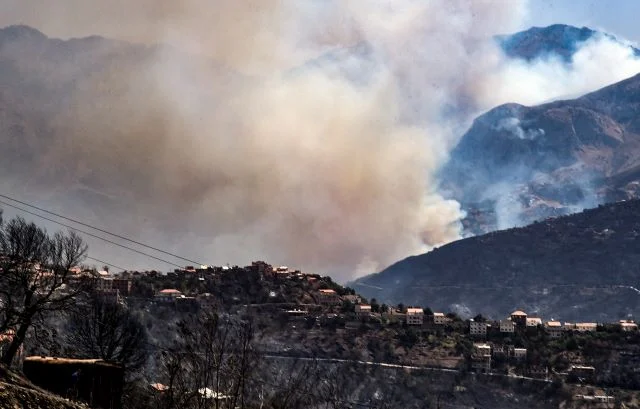 Kebakaran Hutan di Annaba, Algeria: 100 Orang Dirawat dan 150 Rumah Rusak