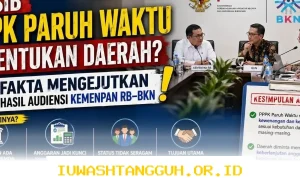 Kontrak PPPK Paruh Waktu Berakhir, Nasib 3.600 PPPK di DKI Jakarta Masih Menggantung