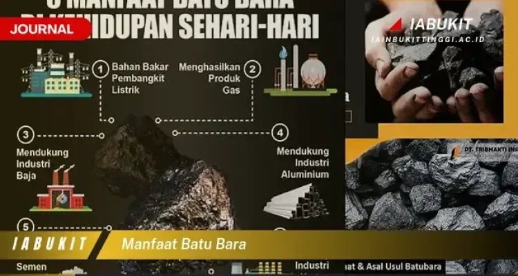 Korupsi Batu Bara dan Dampaknya terhadap Kehidupan Sehari-Hari