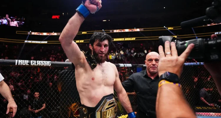 Magomed Ankalaev Tidak Terlibat, Petarung UFC Asal Australia Alami Kejutan Knockout