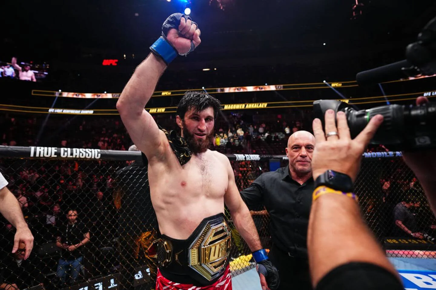 Magomed Ankalaev Tidak Terlibat, Petarung UFC Asal Australia Alami Kejutan Knockout