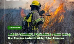 Mamuju dalam Sorotan: Dari Impian Muda Nabila Hingga Kebakaran Lahan