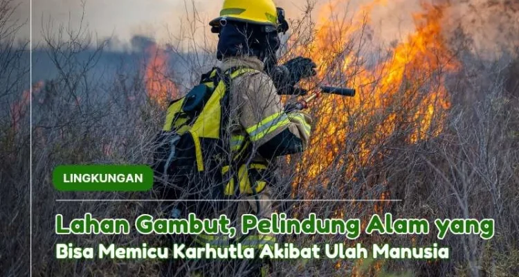 Mamuju dalam Sorotan: Dari Impian Muda Nabila Hingga Kebakaran Lahan